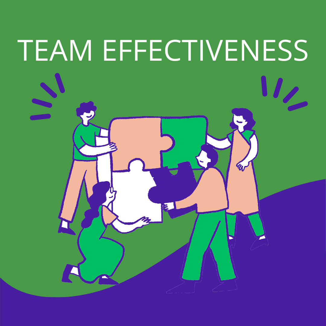 Team Leadership Effectiveness Workshop